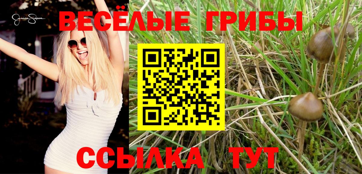 Псилоцибиновые грибы прущие грибы  Вход с VPN  Кировск  Псилоцибиновые грибы MAGIC MUSHROOMS 